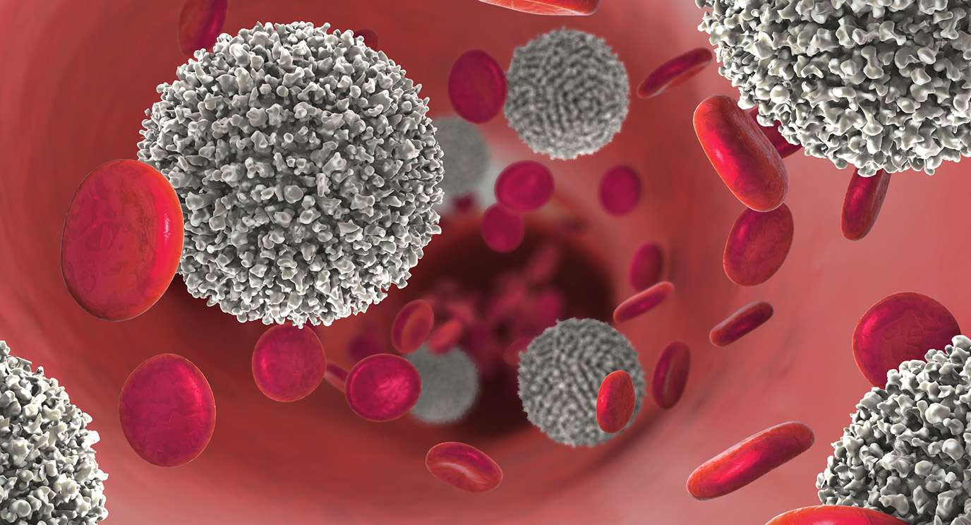 3d illustration of the strong increase of non-functional white blood cells called leukemia cells leading to blood cancer disease