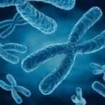 FCPS Paediatric Chromosome & Genetics TOACS