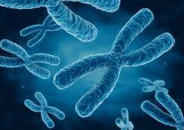 FCPS TOACS Chromosomal Anomalies